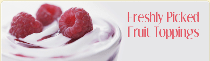 Frosty Sweet Frosty Sweet